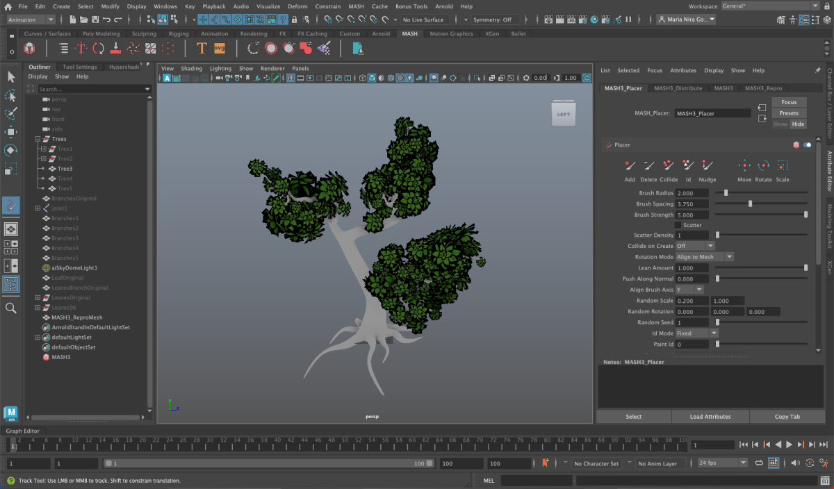 Week 6: Final Trees Models using MASH, & Trees Arrangement in ...